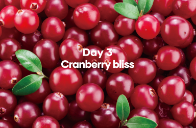 Day 3 Cranberry Bliss