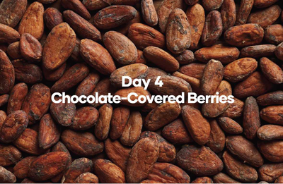 Day 4  Chocolate-Covered Berries