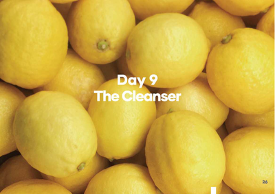 Day 9 The Cleanser