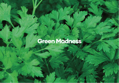 Day 1 Green Madness