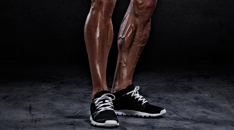 SHINS