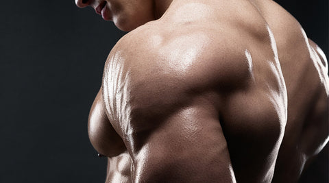 SHOULDERS