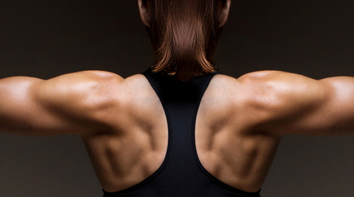 Up Back Body UPPER BACK – OYeet